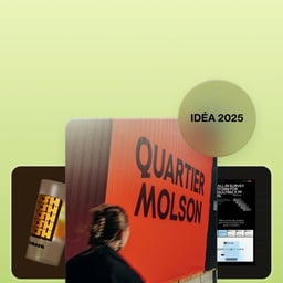 Brand Identity and Website for Palomosa Music Festival cover image