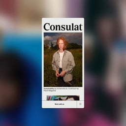 Brand Identity and Website for Consulat Creative Agency cover image