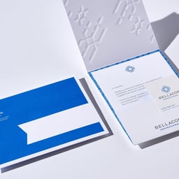 E-Commerce Website Redesign for Bellacor cover image