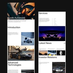 Website Design and Development for Apollo FMG cover image