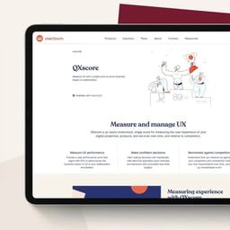 Brand Identity and Website Redesign for UserZoom cover image