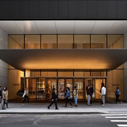 Website Design for the Museum of Modern Art cover image