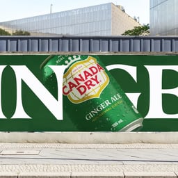 Brand and Packaging Refresh for Canada Dry cover image