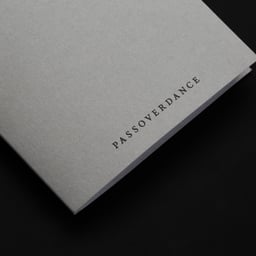 Brand Identity and Print Design for Passoverdance cover image