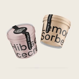Naming and Visual Identity for Sheraton &More Lobby Concept cover image