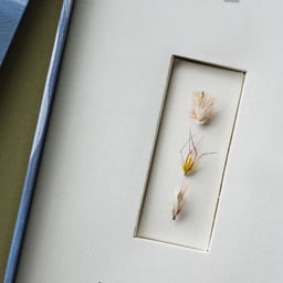 Brand Identity and Signage for Kingfisher Trail cover image
