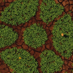 Brand Identity and Website for a Soil Regeneration Company cover image