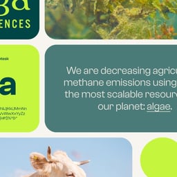 Website Redesign for Alga Biosciences cover image