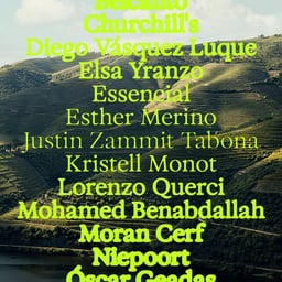 Visual Identity for Host Douro Event cover image