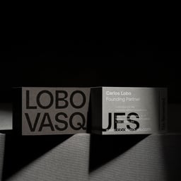 Brand Identity for Lobo Vasques Studio cover image
