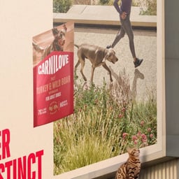 Brand Identity System for Carnilove cover image
