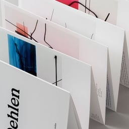 Book Design for Albert Oehlen cover image