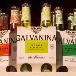 Packaging for Galvanina Soft Drinks cover image