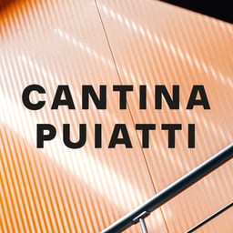 Brand Identity and Packaging for Cantina Puiatti cover image
