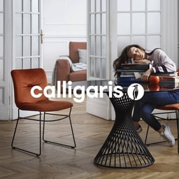 Brand Identity for Calligaris cover image