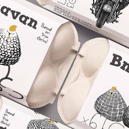 Packaging Design for Bnavan Eggs cover image