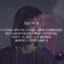 Campaign and Digital Experience for Elektra 2013 Festival cover image