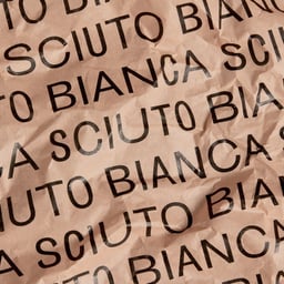 Brand Identity for Bianca Sciuto cover image
