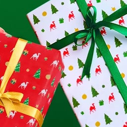 Festive Campaign for Kokuyo Camlin cover image