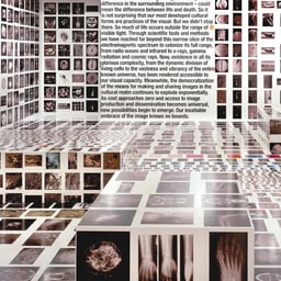Exhibition Design for Vancouver Art Gallery cover image