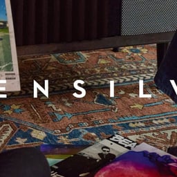 Brand Identity and Digital Presence for Wrensilva cover image