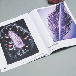 A BIGGER PARK - C100 Studio design work cover image