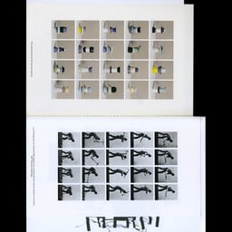Editorial and Print Design for SYL 2020 cover image