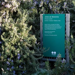 Signage System for Park Güell cover image