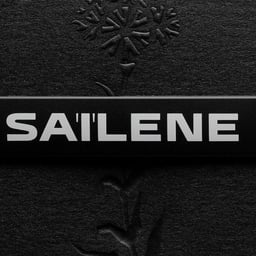Brand Identity for Saïlene Performance Accessories cover image