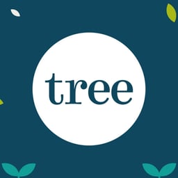 Brand Refresh and Website Redesign for Tree Accountancy cover image