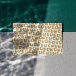 Brand Identity for Vacation Theory cover image