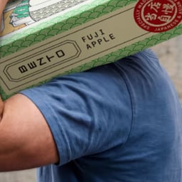 Packaging Design for Bento Canned Alcoholic Sodas cover image
