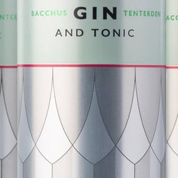 Packaging for Chapel Down Gin & Tonic RTD cover image