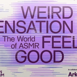 Campaign and Exhibition Identity for the Design Museum’s ASMR Show cover image