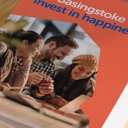 City Branding for Basingstoke cover image