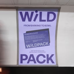 Brand Identity for Wild Pack cover image