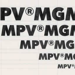 Brand Identity for MPV MGMT cover image
