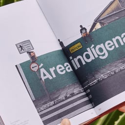 Editorial Design for Terra Sem Males cover image
