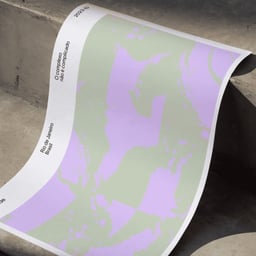 Visual Identity for Simplexidade cover image
