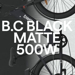 Brand Identity for Baiq Electric Mobility cover image
