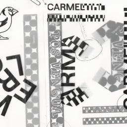 Brand Identity and Packaging for Carmel cover image