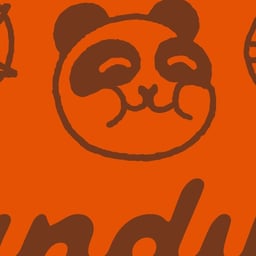 Brand Identity and Strategy for Pandilla cover image