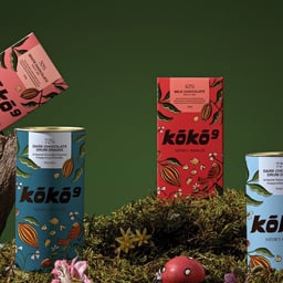 Brand Identity and Strategy for Koko 9 cover image