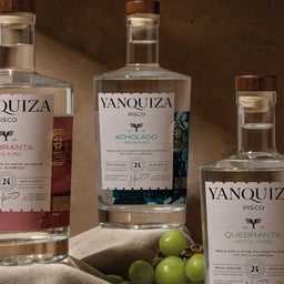 Brand Identity and Strategy for Yanquiza cover image