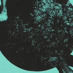 Editorial Design for Il Gaddus Literary Magazine cover image