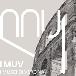 Brand Identity for Imuv Wellness Platform cover image