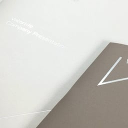 Brand Identity for Valorlife Insurance Platform cover image