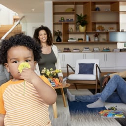 Global Campaign for iRobot Roomba cover image