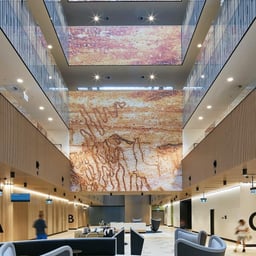 Wayfinding and Environmental Graphics for Northern Beaches Hospital cover image