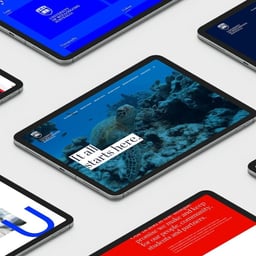 Digital Brand Playbook for University of Wollongong cover image